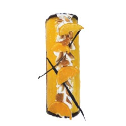 Bûche Glacée Mandarine & Nougat | Suard Boulangeries Fribourg