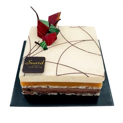 Amore | Entremets chocolat & abricot | Pâtisserie Suard